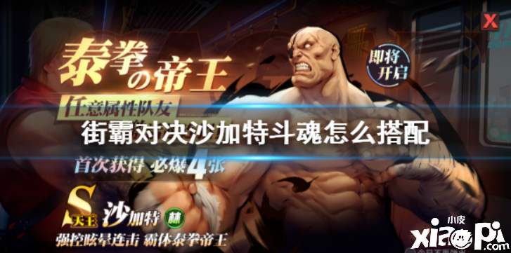 街霸:对决沙加特斗魂搭配推荐