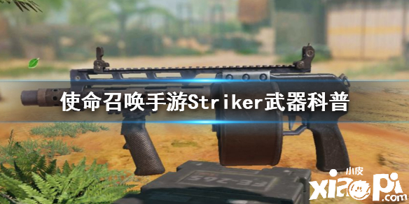 使命召唤手游Striker枪械介绍