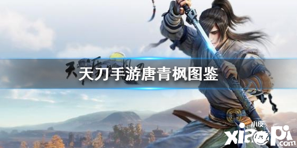 天涯明月刀手游伙伴唐青枫介绍