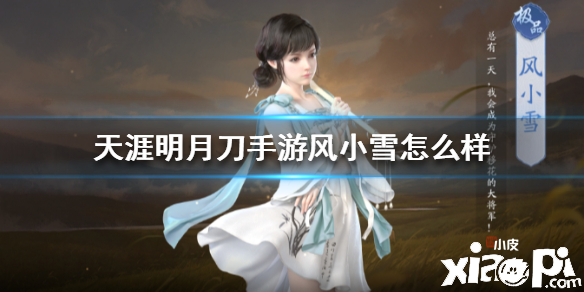 天涯明月刀手游伙伴风小雪介绍