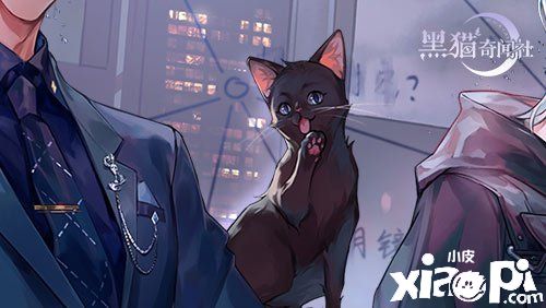 猫的报恩还是家族遗产?《黑猫奇闻社》店名暗访