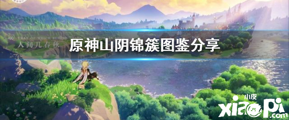 原神手游山阴锦簇介绍