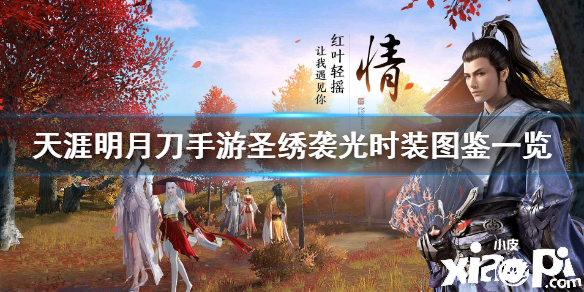 天涯明月刀手游圣绣袭光皮肤介绍