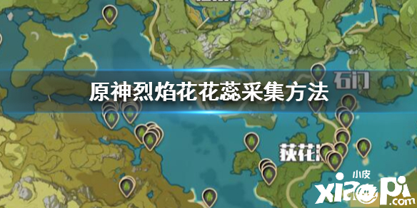 原神手游烈焰花花蕊采集方法介绍