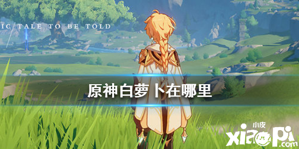 原神手游白萝卜位置介绍