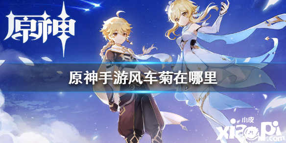 原神手游风车菊分布位置介绍