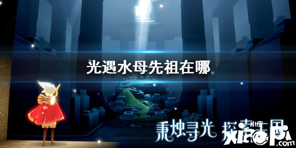 光遇水母先祖位置介绍