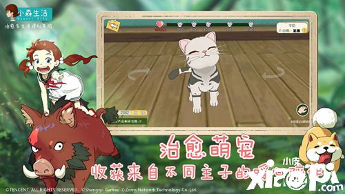 辣目洋子入驻《小森生活》 3月31日带你开启田园治愈新生活