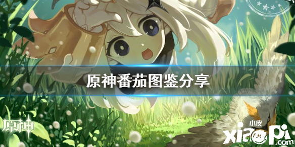 原神手游番茄图鉴