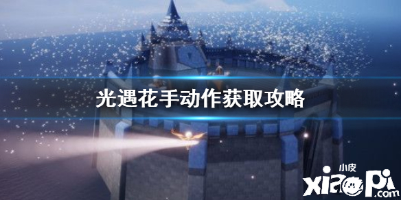 光遇花手动作获取攻略