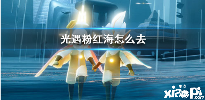 光遇粉红海怎么去