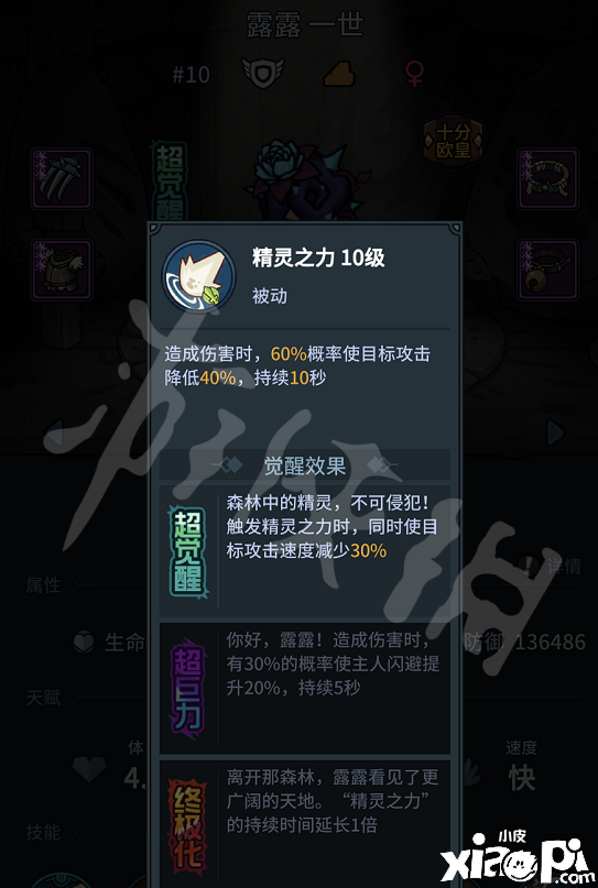 提灯与地下城宠物搭配推荐