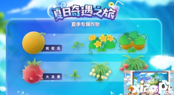 摩尔庄园手游夏日限定活动内容一览
