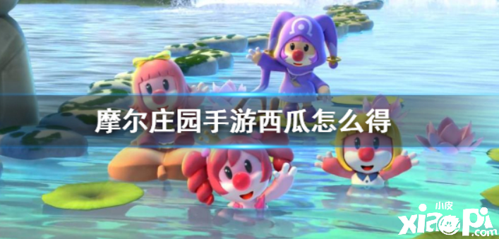 摩尔庄园 西瓜的获得有哪些注意的点