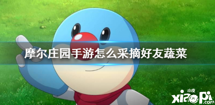 摩尔庄园 摘好友蔬菜要怎么做才比较合适