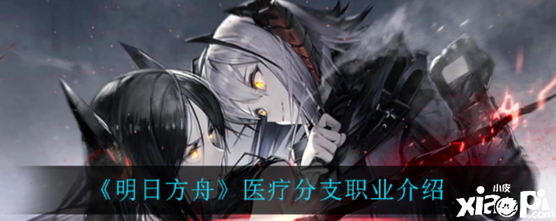 明日方舟:医疗分支职业介绍