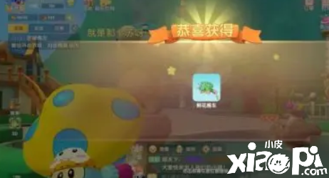 摩尔庄园的阳光农场怎么玩呢?