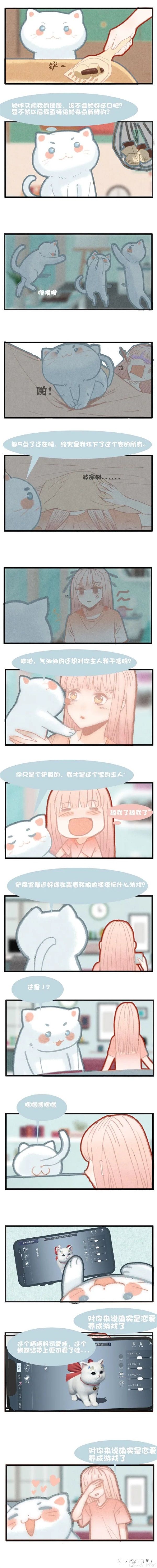 在《天涯明月刀手游》里养猫?赶紧给我收编几只!