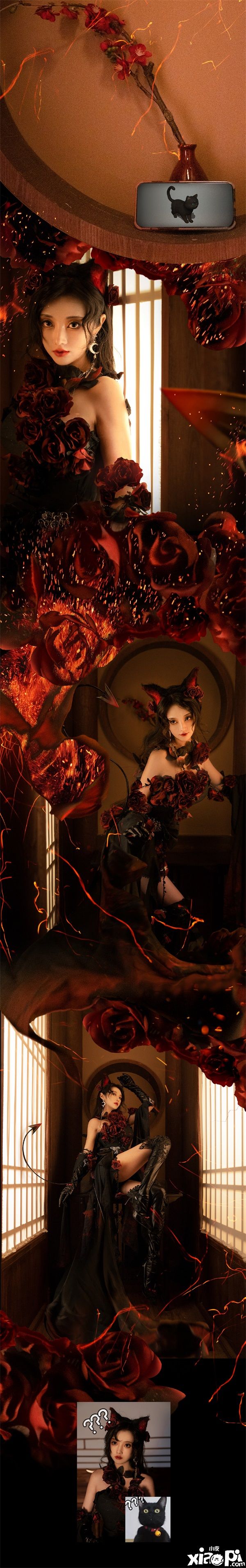在《天涯明月刀手游》里养猫?赶紧给我收编几只!