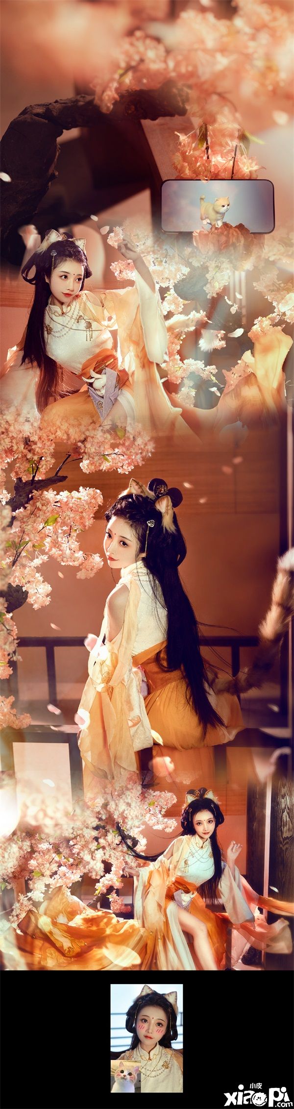 在《天涯明月刀手游》里养猫?赶紧给我收编几只!