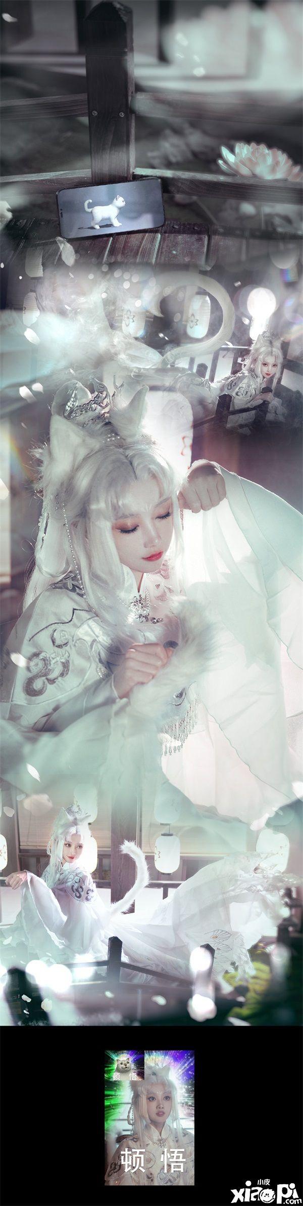 在《天涯明月刀手游》里养猫?赶紧给我收编几只!