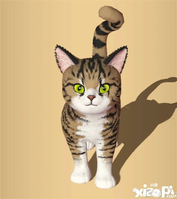 在《天涯明月刀手游》里养猫?赶紧给我收编几只!