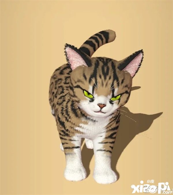 在《天涯明月刀手游》里养猫?赶紧给我收编几只!