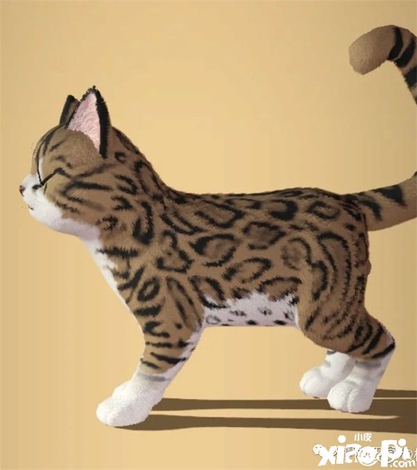 在《天涯明月刀手游》里养猫?赶紧给我收编几只!