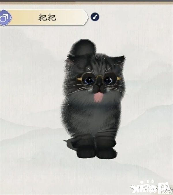 在《天涯明月刀手游》里养猫?赶紧给我收编几只!