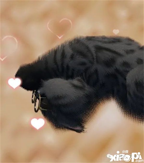 在《天涯明月刀手游》里养猫?赶紧给我收编几只!