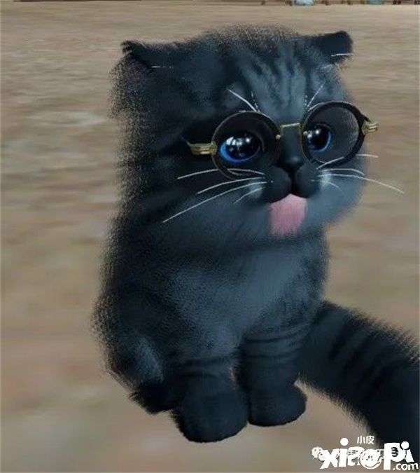 在《天涯明月刀手游》里养猫?赶紧给我收编几只!