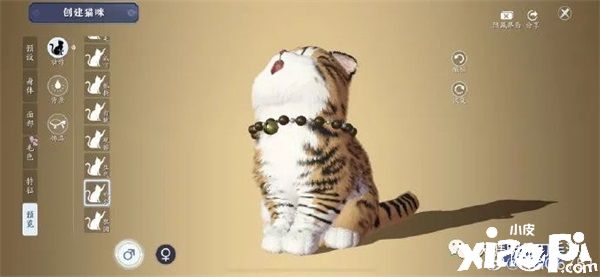 在《天涯明月刀手游》里养猫?赶紧给我收编几只!