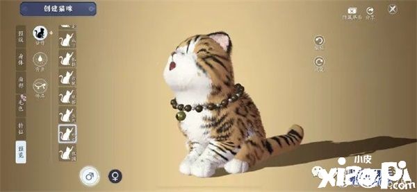 在《天涯明月刀手游》里养猫?赶紧给我收编几只!