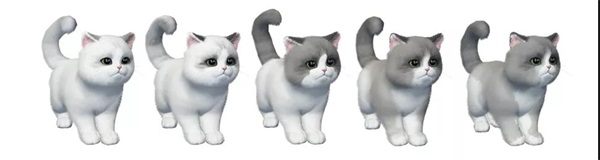 天涯明月刀:猫咪繁育功能即将上线啦!