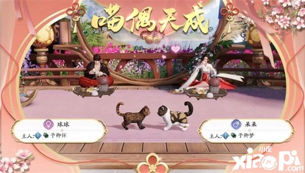 天涯明月刀:猫咪繁育功能即将上线啦!