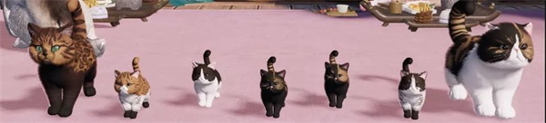 天涯明月刀:猫咪繁育功能即将上线啦!