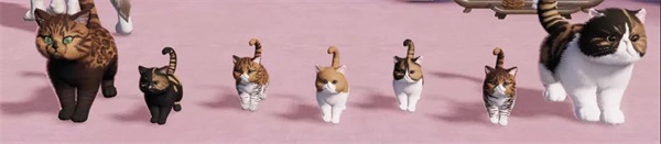 天涯明月刀:猫咪繁育功能即将上线啦!
