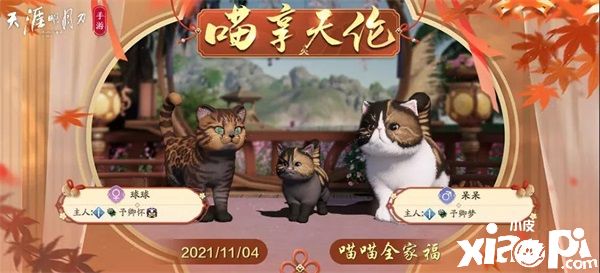 天涯明月刀:猫咪繁育功能即将上线啦!
