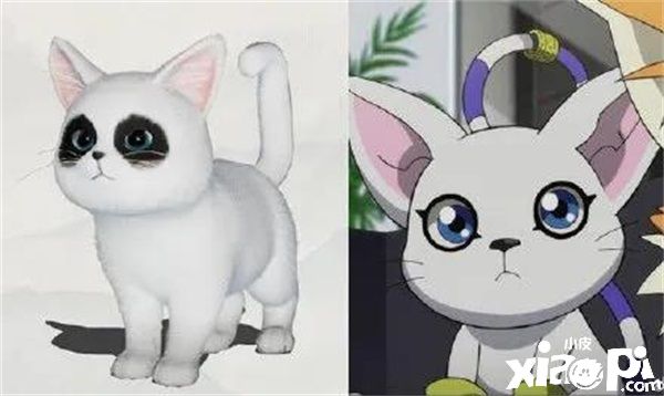 天涯明月刀:猫咪繁育功能即将上线啦!