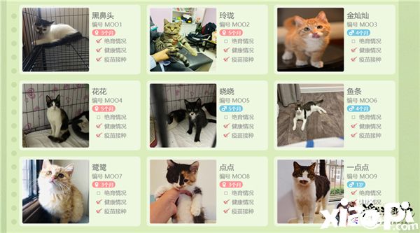 《浮生为卿歌》力启公益活动,为小动物献出爱心