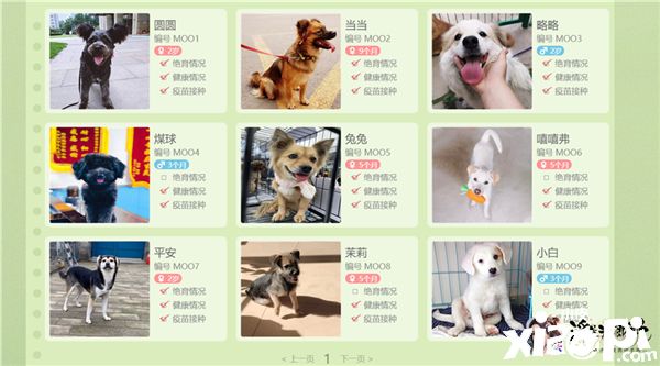 《浮生为卿歌》力启公益活动,为小动物献出爱心