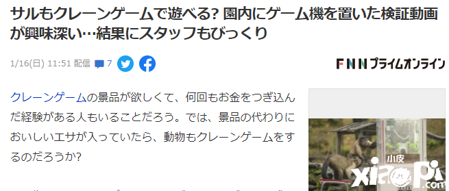 日本最新实验竟为了教猴子玩抓娃娃机!