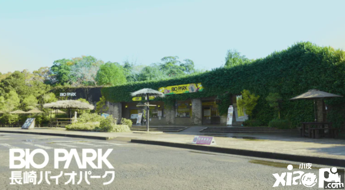 日本最新实验竟为了教猴子玩抓娃娃机!