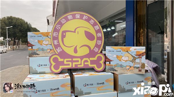 喵星人的守护行动《浮生为卿歌》公益猫盒捐赠之旅