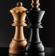 国际象棋v2.8.1