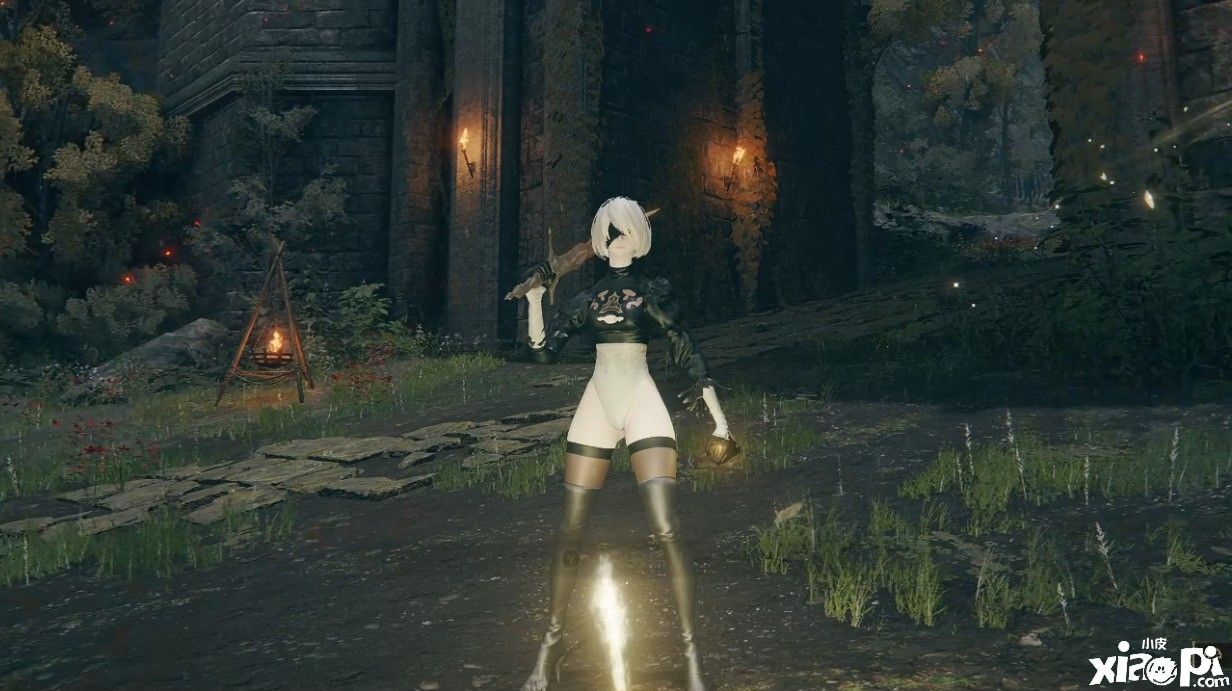 《艾尔登法环》2B小姐姐Mod公布,满屏福利让人把持不住!