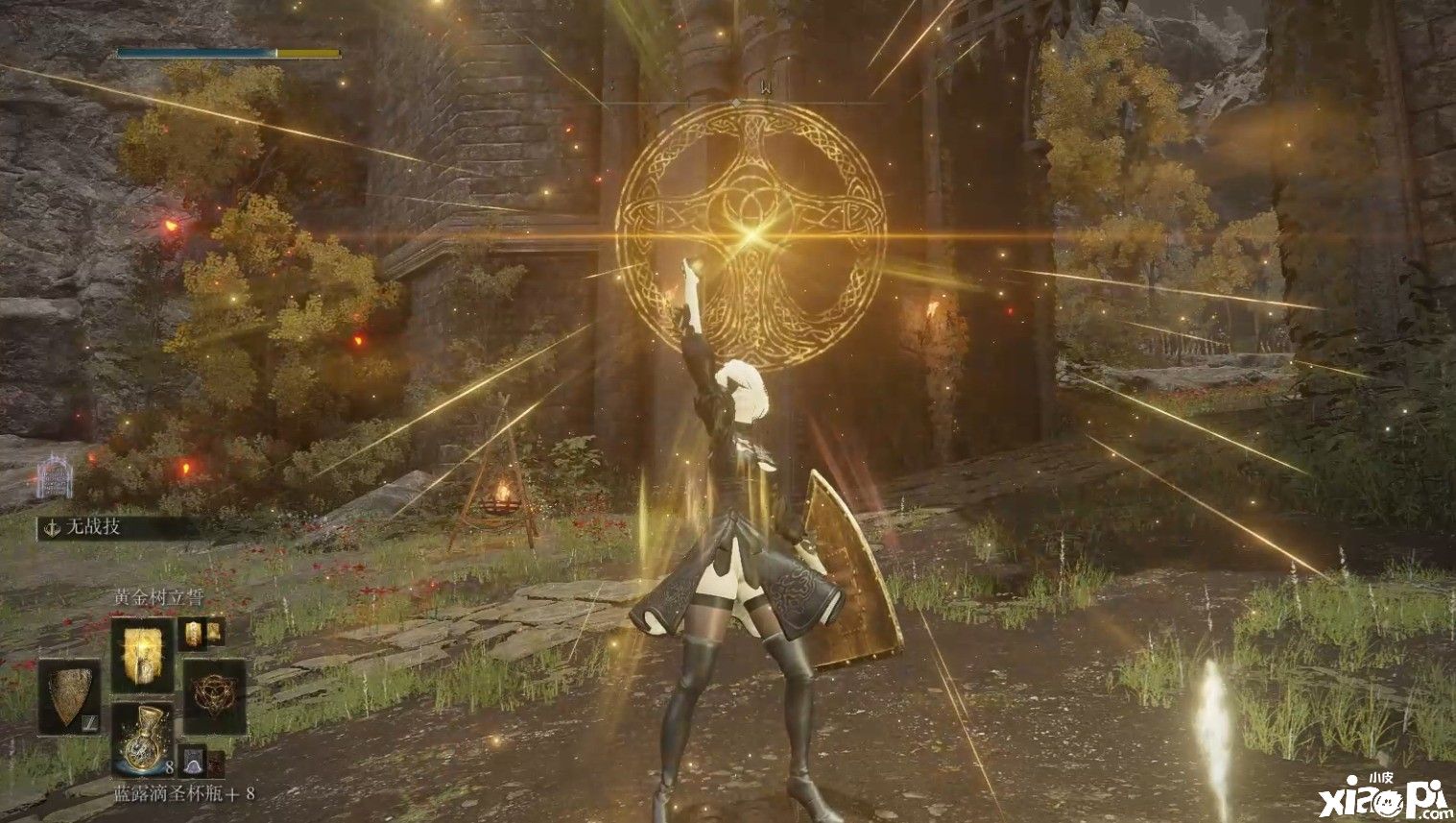 《艾尔登法环》2B小姐姐Mod公布,满屏福利让人把持不住!