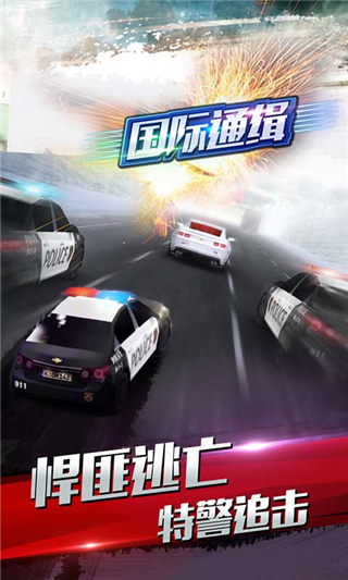 国际通缉6