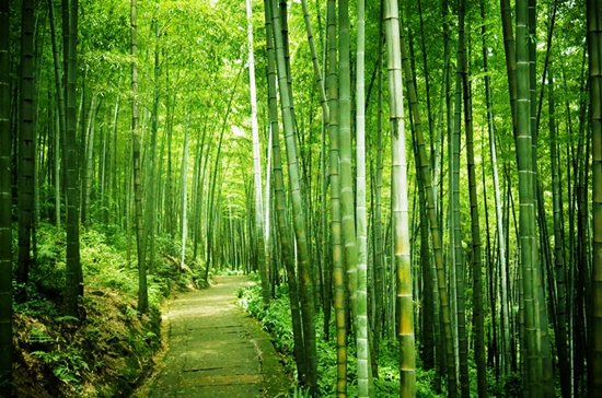 当国庆节旅游遇上《神龙部落2》