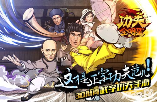 功夫全明星新武师 
